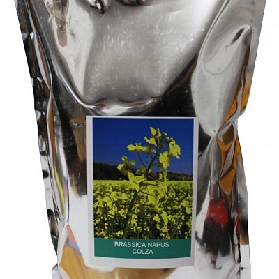 Colza 1kg - Brassica Napus