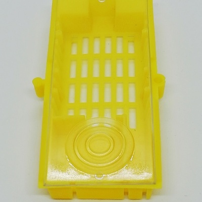 Gaiola Transparente Introdução Rainhas