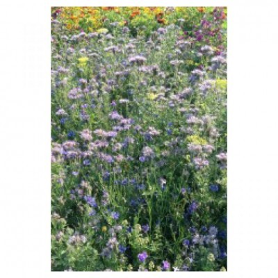 Banquete para Abelhas 5kg - Mistura TG4