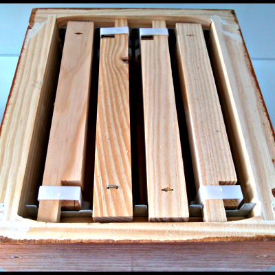 Núcleo de Fecundação Madeira em quadros Meia-Alça