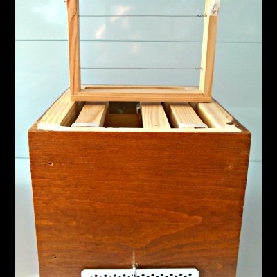 Núcleo de Fecundação Madeira em quadros Meia-Alça