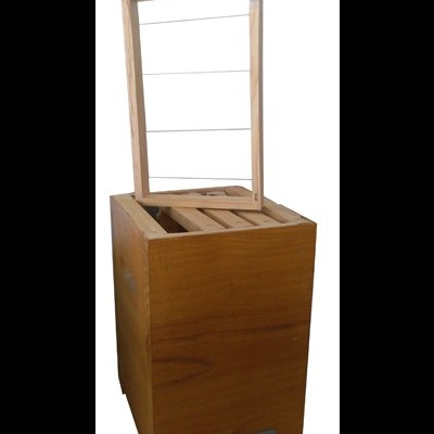 Núcleo de Fecundação Madeira