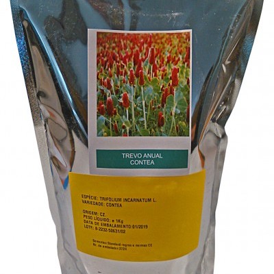 Trevo Anual Encarnado 1kg - Trifolium Incarnatum
