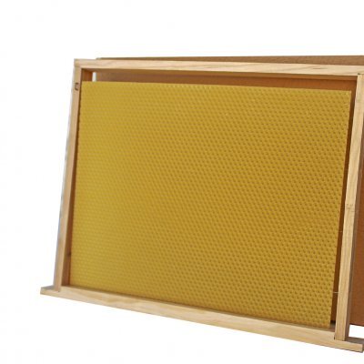 Ninho Dadant - Pintado c/ Cera