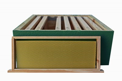 1/2 Alça Pintada c/ Cera Dadant