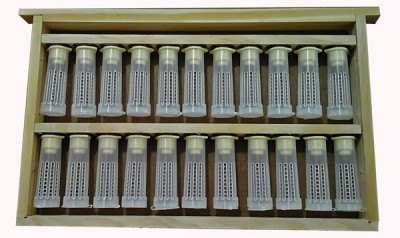 Quadro Criação Rainhas com Barras Fixas Reversível c/ gaiolas