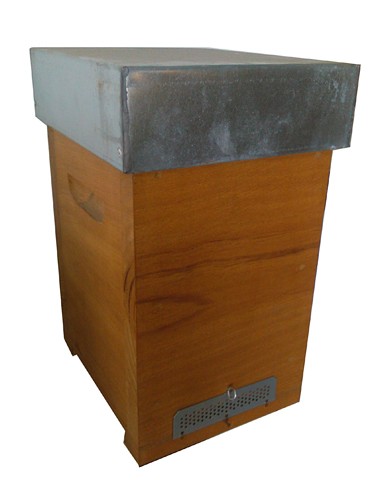 Núcleo de Fecundação Madeira