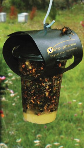 Armadilha para insetos preta e transparente cheia de insetos num jardim