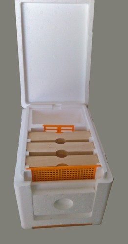 Nucléolos de Fecundação de Rainhas - Esferovite