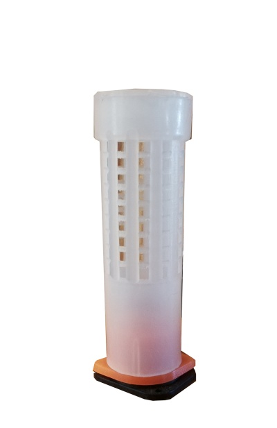 Conjunto Criação Rainha Económico