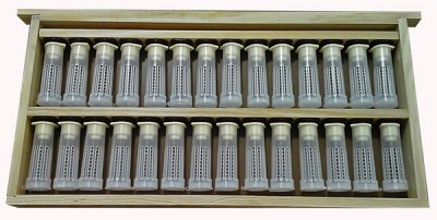 Quadro Criação Rainhas com Barras Fixas Langstroth c/ gaiolas