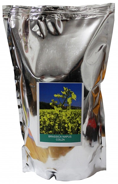 Colza 1kg - Brassica Napus