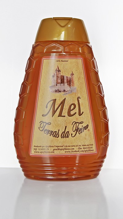 Frasco Doseador de Mel - Mel Terras da Feira 500gr