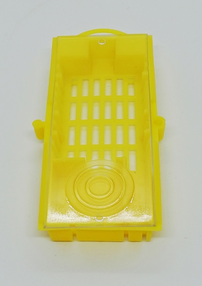 Gaiola Transparente Introdução Rainhas