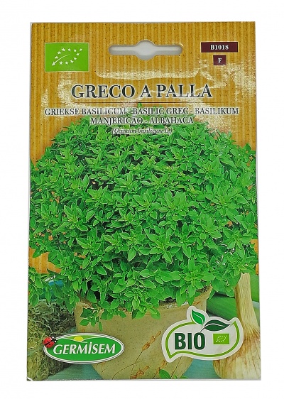 Semente Manjericão Grego BIO