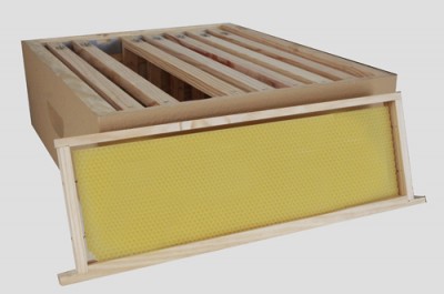 1/2 Alça Langstroth Pintada c/ Cera