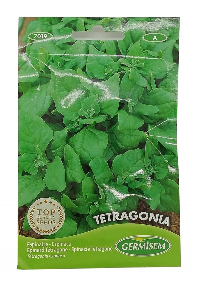 Semente Espinafres 5g