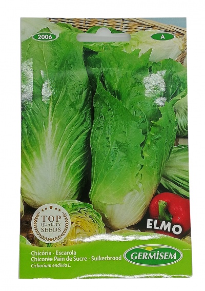 Semente Chicória 4g