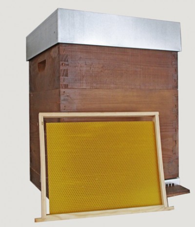 Colmeia de madeira com quadro de favo de mel amarelo