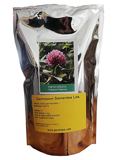 Trevo Vivaz Violeta - Trifolium Pratense