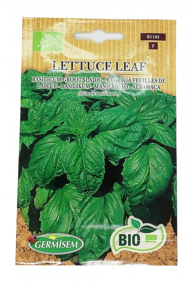 Semente Manjericão Folha de Alface BIO