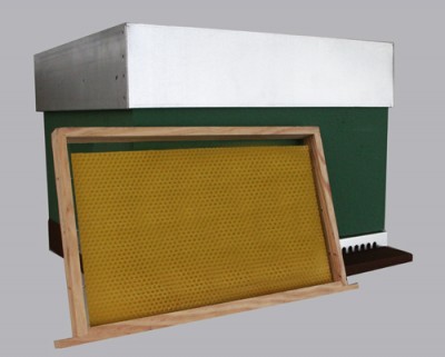 Caixa de colmeia verde com quadro de mel amarelado e tampa branca