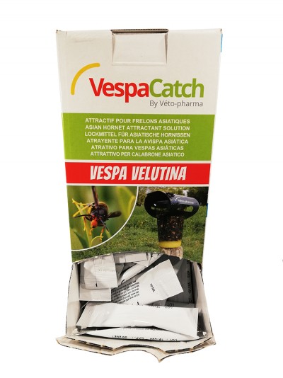 Caixa da solução atrativa VespaCatch para vespas asiáticas
