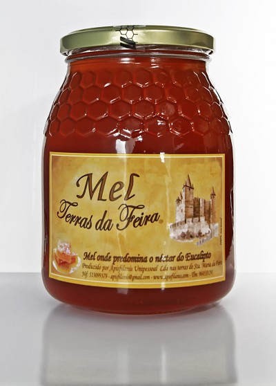 Frasco de Mel - Mel Terras da Feira 1Kg