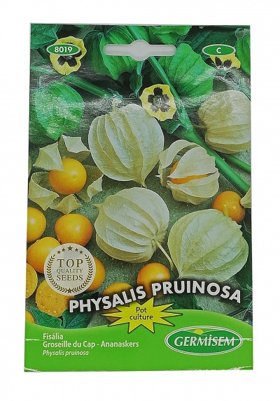Pacote de sementes de Physalis pruinosa com imagem do fruto e texto informativo