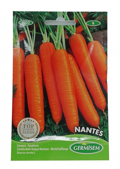 Semente Cenoura de Nantes 10g