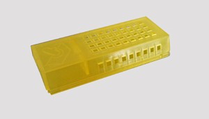 Gaiola Amarela - Introdução Rainhas