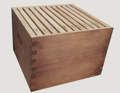 Ninho Dadant - emalhetado s/ Quadros