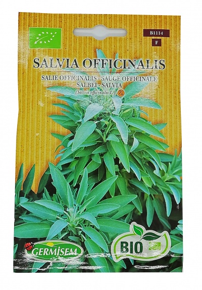 Semente Salvia BIO