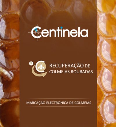 Logotipo Centinela com texto sobre fundo castanho e textura de favo de mel
