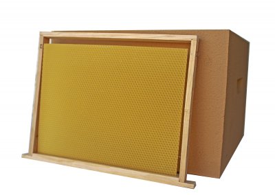 Ninho Dadant - Pintado c/ Cera