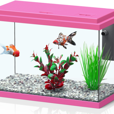 Aquatlantis Funny Fish 35 - Aquários 16L com filtro