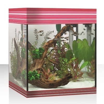 Aquários Pure M LED Askoll - Aquários em kit 44L