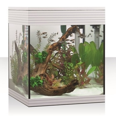 Aquários Pure M LED Askoll - Aquários em kit 44L