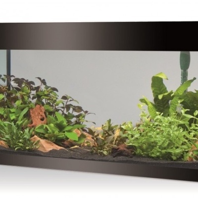 Aquário retangular com plantas verdes, pedras decorativas e substrato escuro