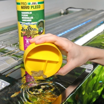 JBL PRONOVO PLECO WAFER M - Alimento em pastilhas para peixes de fundo