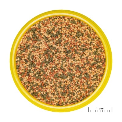 JBL PRONOVO BEL GRANO S - Alimento principal granulado para peixes tropicais pequenos