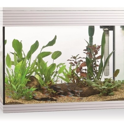 Aquários Pure L LED Askoll - Aquários em kit 68L