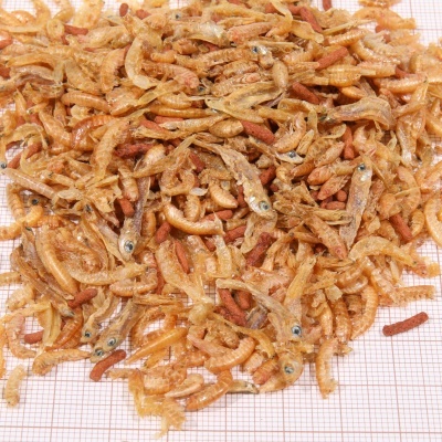 JBL Proterra Baby - Alimento completo especial para tartarugas jovens