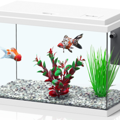 Aquatlantis Funny Fish 35 - Aquários 16L com filtro