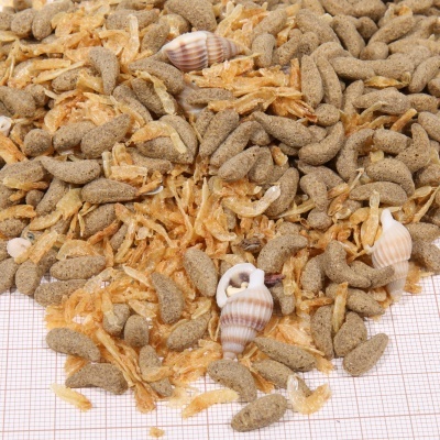 Ração para peixes com pellets, cascas de camarão secas e conchas marinhas sobre fundo quadriculado