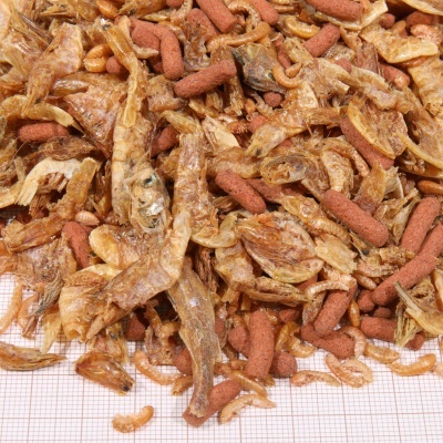 JBL Proterra Crustarus - Alimento completo para tartarugas