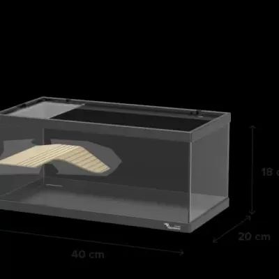Terratlantis Tortum 40 - Tartarugueira 40cm