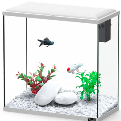 Aquatlantis Explorer Dublin Kit - Aquário com filtro e LED