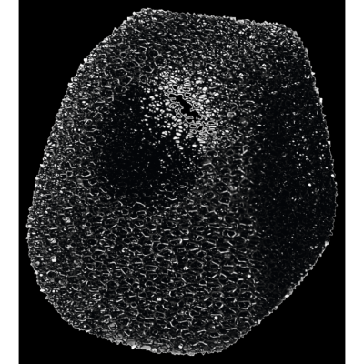 Sera Esponjas filtrantes para Sera Pond SP 500/ SP 1500 e SP 2000