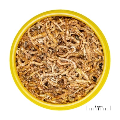 JBL PRONOVO FIL - Larvas de mosquito vermelhas para todos os peixes